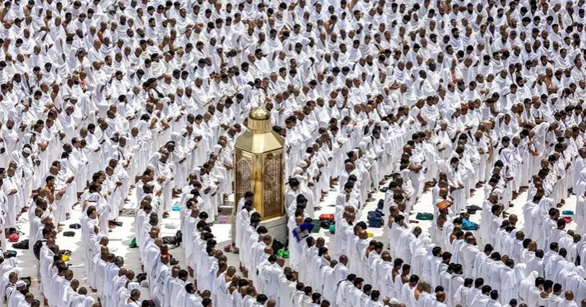 ফাইল ছবি।