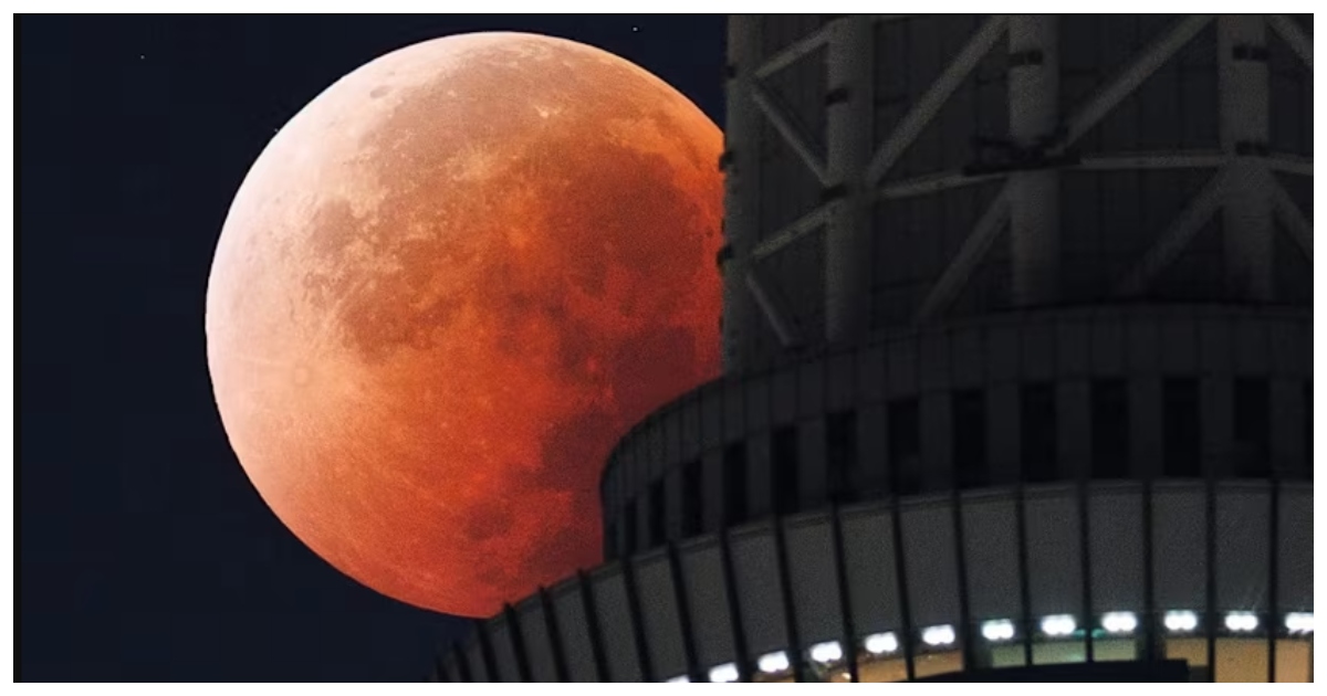 জাপানের রাজধানী টোকিওতে পূর্ণ চন্দ্রগ্রহণ। ছবি: নিউজ ওয়ান