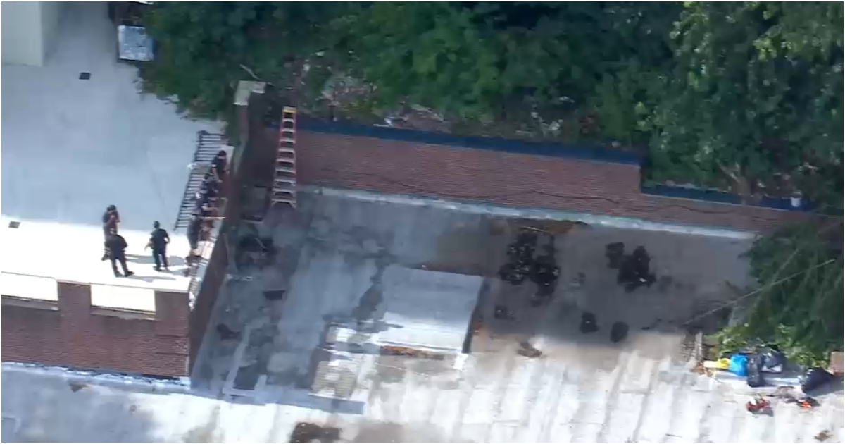 সাইপ্রেস হিলসের বুলওয়ার ও হিথ প্লেসের মধ্যবর্তী ২২৪ হাইল্যান্ড বোলেভার্ড এলাকায় বেলা তিনটার ঠিক আগে দুর্ঘটনাটি ঘটে। ছবি: আইউইটনেস নিউজ