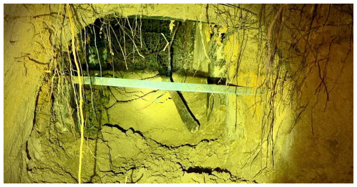 বেলারুশ সীমান্তবর্তী বনে খোঁজ পাওয়া অভিবাসী পাচারকারী গোপন সুড়ঙ্গ। ছবি: রয়টার্স