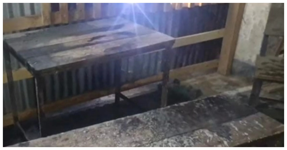 নেছারিয়া সরকারি প্রাথমিক বিদ্যালয়ের ভোট কেন্দ্র। ছবি: ইউএনবি