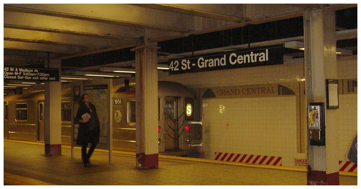 নিউ ইয়র্ক সিটির গ্র্যান্ড সেন্ট্রাল স্টেশনের একটি সাবওয়ে প্ল্যাটফর্ম। ছবি: উইকিমিডিয়া কমন্স