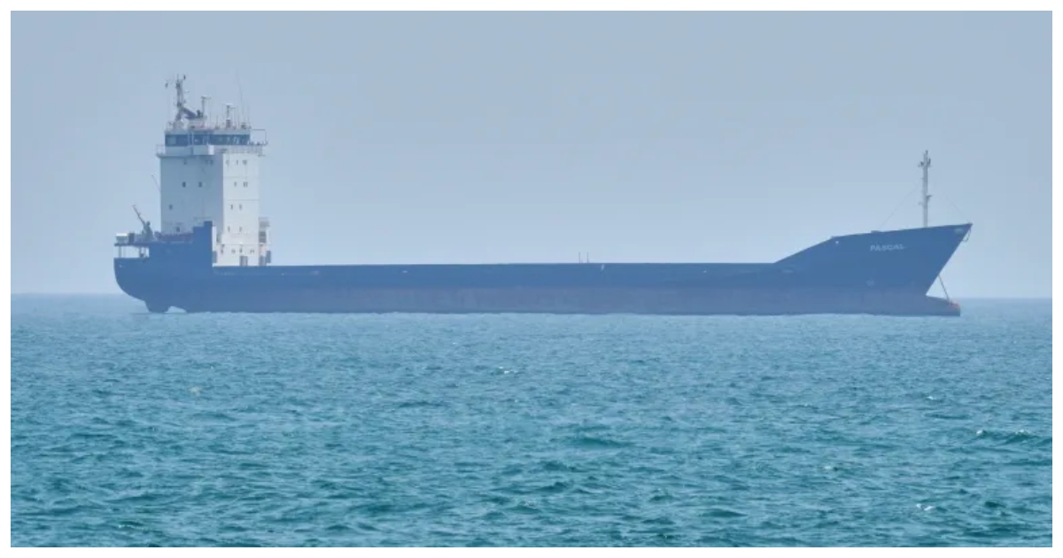 হরমুজ প্রণালি ও ইরানের উপকূলে অবস্থানরত একটি জাহাজ। ছবি: আল জাজিরা